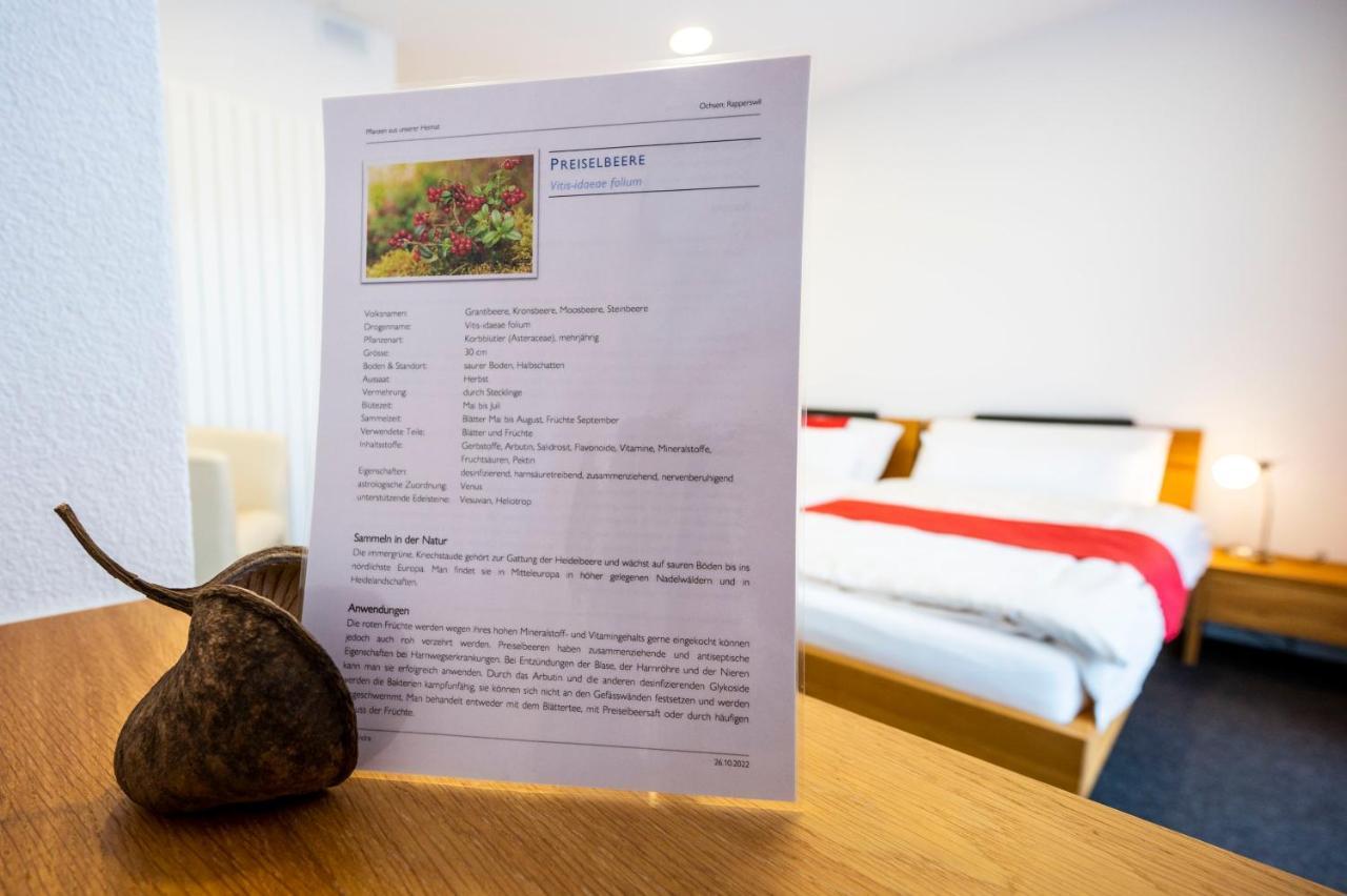Hotel Ochsen Rapperswil/Be Rapperswil  Luaran gambar