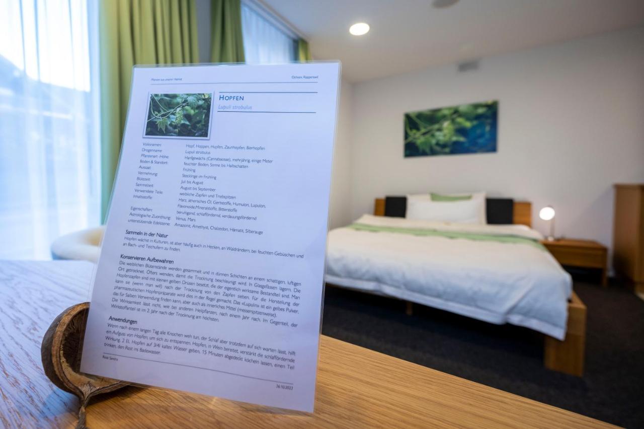 Hotel Ochsen Rapperswil/Be Rapperswil  Luaran gambar
